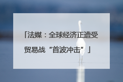 法媒：全球经济正遭受贸易战“首波冲击”