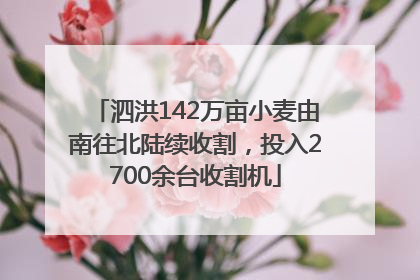 泗洪142万亩小麦由南往北陆续收割，投入2700余台收割机