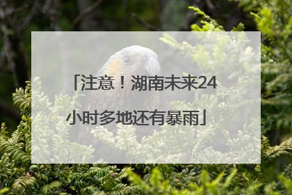 注意！湖南未来24小时多地还有暴雨
