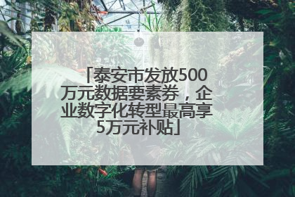 泰安市发放500万元数据要素券，企业数字化转型最高享5万元补贴