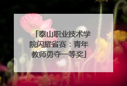 泰山职业技术学院闪耀省赛：青年教师勇夺一等奖