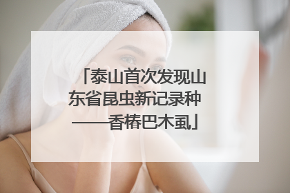 泰山首次发现山东省昆虫新记录种——香椿巴木虱