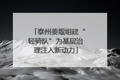 泰州姜堰组建“轻骑队”为基层治理注入新动力
