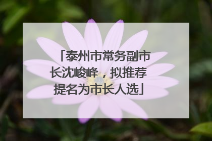 泰州市常务副市长沈峻峰，拟推荐提名为市长人选