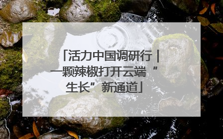 活力中国调研行｜一颗辣椒打开云端“生长”新通道