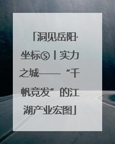 洞见岳阳·坐标⑤丨实力之城——“千帆竞发”的江湖产业宏图