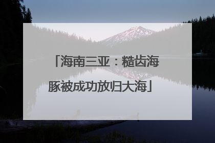 海南三亚：糙齿海豚被成功放归大海