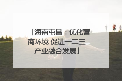 海南屯昌：优化营商环境 促进一二三产业融合发展