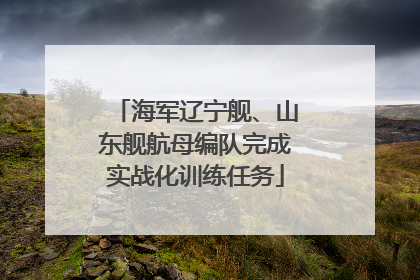 海军辽宁舰、山东舰航母编队完成实战化训练任务