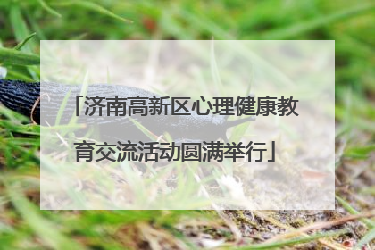 济南高新区心理健康教育交流活动圆满举行
