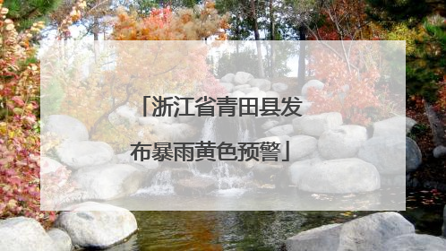 浙江省青田县发布暴雨黄色预警