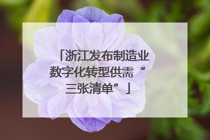 浙江发布制造业数字化转型供需“三张清单”