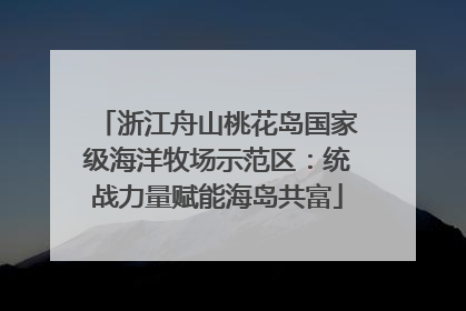 浙江舟山桃花岛国家级海洋牧场示范区：统战力量赋能海岛共富