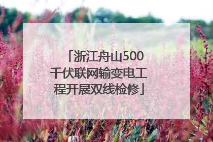 浙江舟山500千伏联网输变电工程开展双线检修