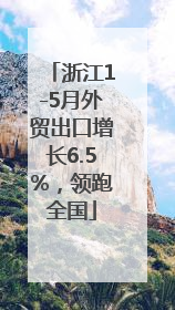 浙江1-5月外贸出口增长6.5%，领跑全国
