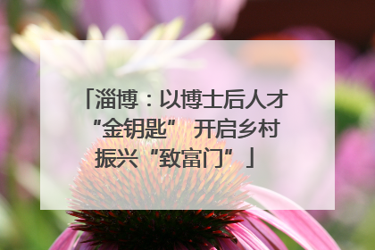 淄博：以博士后人才“金钥匙” 开启乡村振兴“致富门”