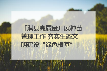 淇县高质量开展种苗管理工作 夯实生态文明建设“绿色根基”