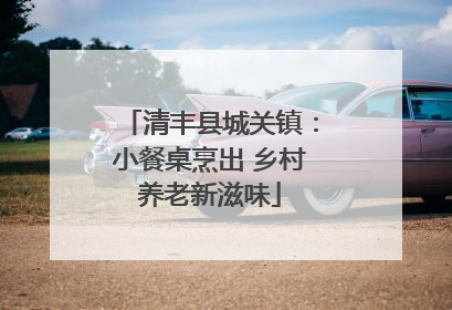 清丰县城关镇：小餐桌烹出 乡村养老新滋味