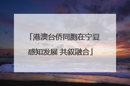 港澳台侨同胞在宁夏感知发展 共叙融合