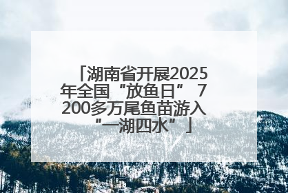 湖南省开展2025年全国“放鱼日” 7200多万尾鱼苗游入“一湖四水”