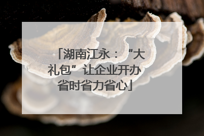 湖南江永：“大礼包”让企业开办省时省力省心