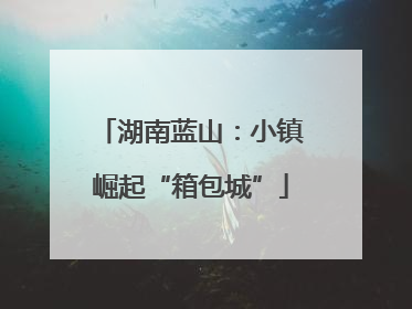 湖南蓝山：小镇崛起“箱包城”
