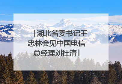 湖北省委书记王忠林会见中国电信总经理刘桂清