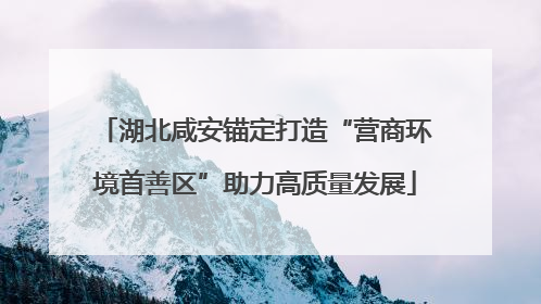 湖北咸安锚定打造“营商环境首善区”助力高质量发展
