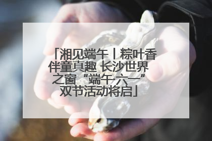 湘见端午丨粽叶香伴童真趣 长沙世界之窗“端午·六一”双节活动将启