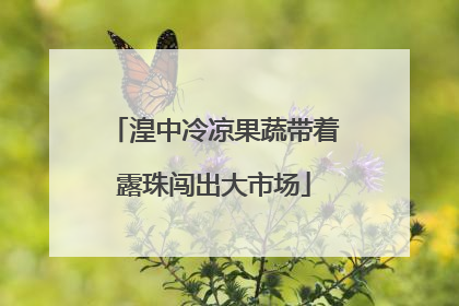 湟中冷凉果蔬带着露珠闯出大市场