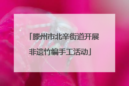 滕州市北辛街道开展非遗竹编手工活动