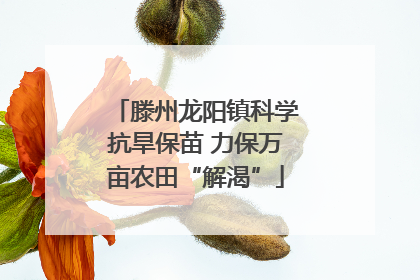 滕州龙阳镇科学抗旱保苗 力保万亩农田“解渴”