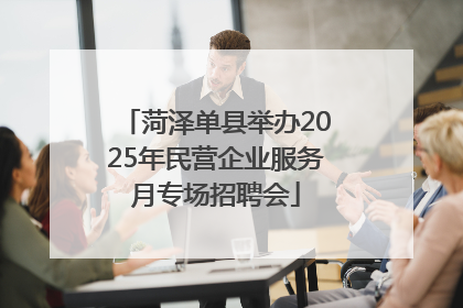 菏泽单县举办2025年民营企业服务月专场招聘会
