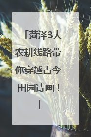 菏泽3大农耕线路带你穿越古今田园诗画！