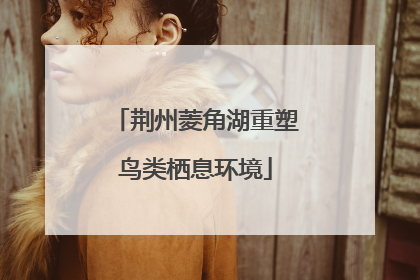 荆州菱角湖重塑鸟类栖息环境