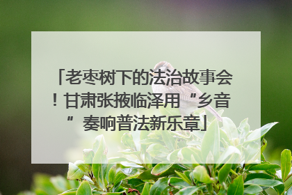 老枣树下的法治故事会！甘肃张掖临泽用“乡音”奏响普法新乐章