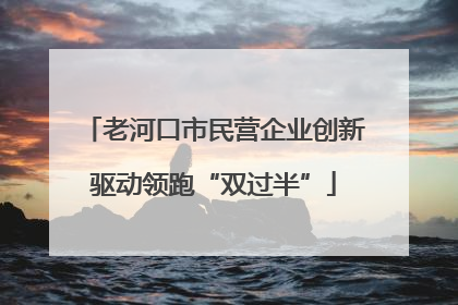 老河口市民营企业创新驱动领跑“双过半”