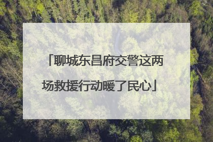 聊城东昌府交警这两场救援行动暖了民心