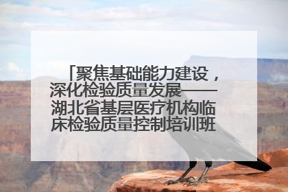 聚焦基础能力建设，深化检验质量发展——湖北省基层医疗机构临床检验质量控制培训班（孝感站）成功举办