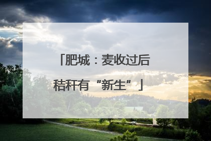 肥城：麦收过后秸秆有“新生”