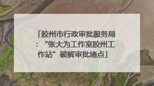 胶州市行政审批服务局：“张大为工作室胶州工作站”破解审批堵点