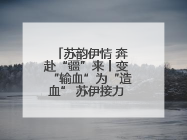 苏韵伊情 奔赴“疆”来丨变“输血”为“造血” 苏伊接力守护“心”生