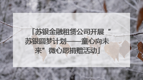 苏银金融租赁公司开展“苏银圆梦计划——童心向未来”微心愿捐赠活动