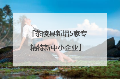 茶陵县新增5家专精特新中小企业