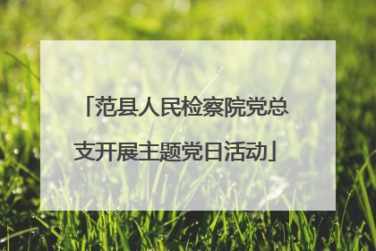 范县人民检察院党总支开展主题党日活动