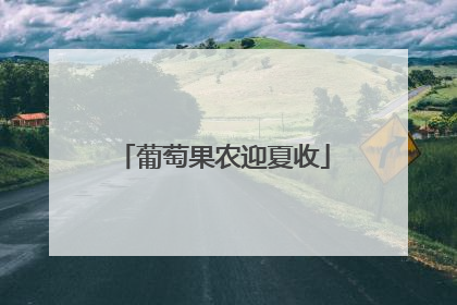 葡萄果农迎夏收