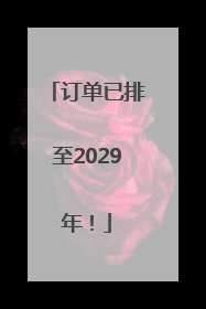 订单已排至2029年！