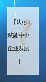 认可：赋能中小企业发展