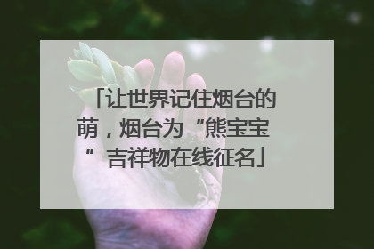 让世界记住烟台的萌，烟台为“熊宝宝”吉祥物在线征名