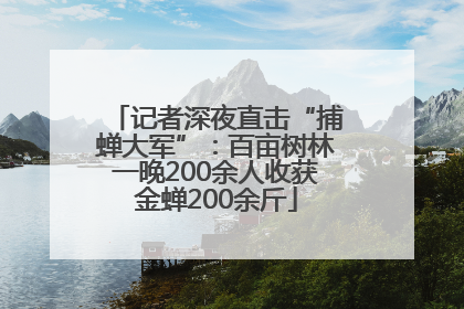 记者深夜直击“捕蝉大军”：百亩树林一晚200余人收获金蝉200余斤